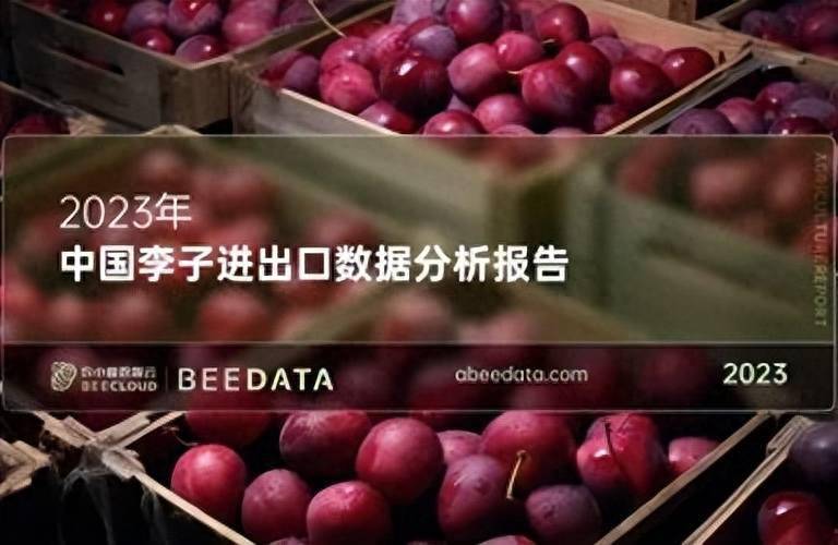 澳门彩民福音，2048年全新版天天开奖资料大全解析与展望未来趋势分析报告书稿摘要及内容概览2024澳门天天开彩资料大全A