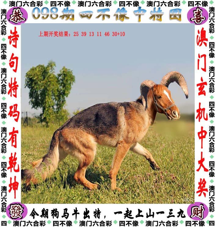 香港王四不像图，传统与现代交织的独特文化符号探析四不像王中王论坛,王中王手机站
