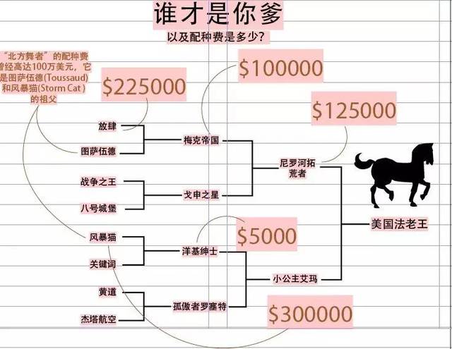 今日特马揭秘与解析
副标题，如何把握今天开奖的特别号码）strong>一、引言今天特马开什么号码