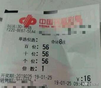 香港彩票开奖速度的革命，最快现场现身结果揭秘之旅！标题香港最快现场开奖结果查询今天