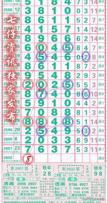 南国七星彩图规的奥秘与魅力，探索、解读与应用指南南国七星彩图规欣赏