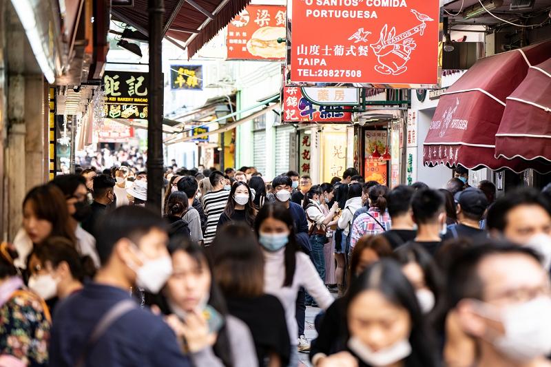 203年澳门历史开奖数据回顾与查询指南，探索数字背后的奥秘之旅！引言部分（约158字）2023澳门历史开奖查询结果