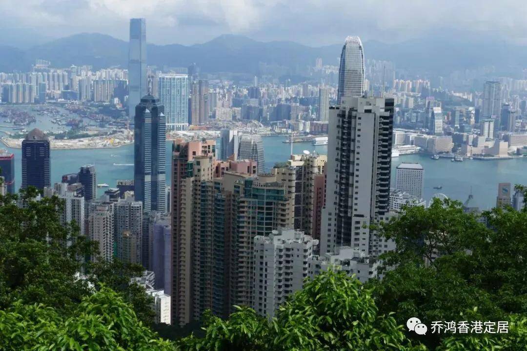 香港特马资料大全，探索与解析的全面指南香港特马资料大全王中王