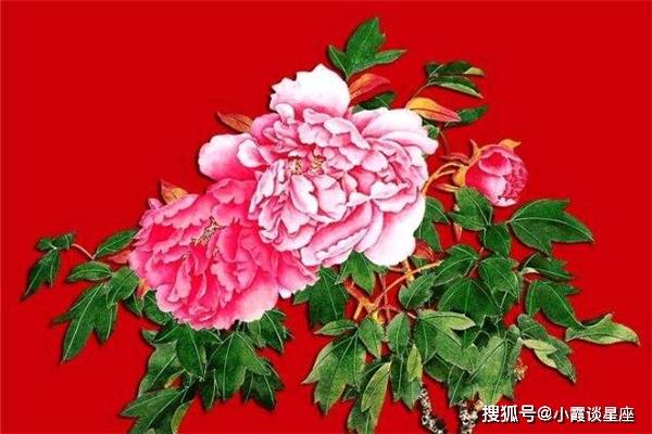 2035年，探索科技与生活的管家婆—生肖预测的未来展望分析报告233期管家婆一句话