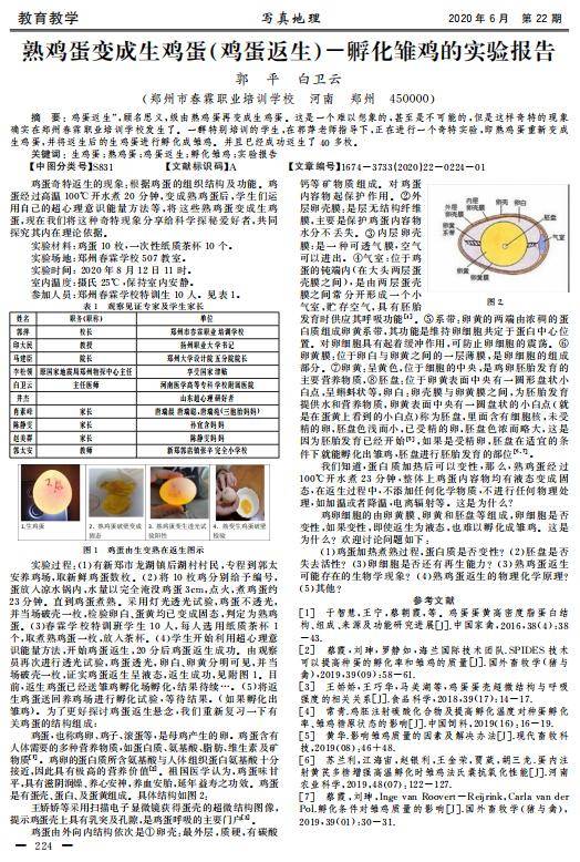 关于我们 第31页