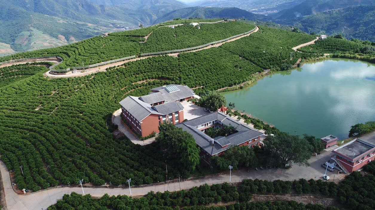 黄大仙精准资料免费大全，探秘与解析的全面指南黄大仙精准资料免费大全功能介绍