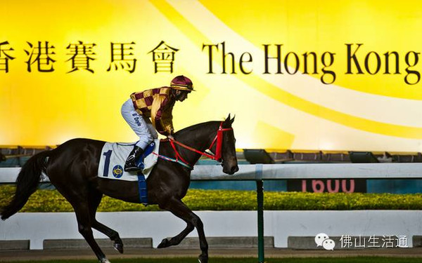 香港赛马会原创资料