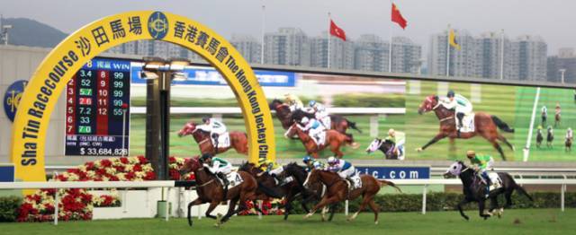 香港马会开奖直播，赛马的魅力与实时体验新篇章香港马 会开奖结果新闻