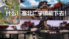 翻译润色 第9页