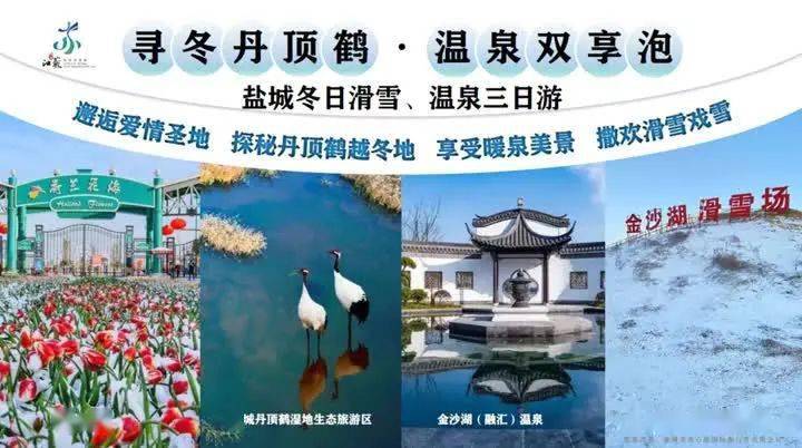 探索澳门奥秘，打开免费资料大全之门，领略独特魅力之秘籍！标题打开澳门免费资料大全最新版本