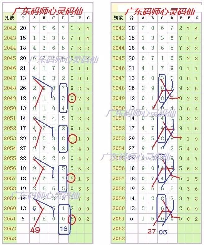 二四六天天好彩，每期文字资料大全的奥秘与价值探索