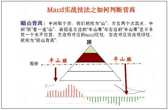 一码精准预测，肖数稳中求胜—揭秘100%准确率的背后逻辑与实例分析报告一码一肖100准确使用方法澳门大三巴