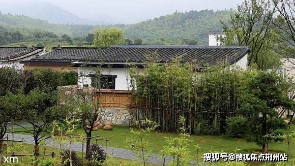 新奥门开奖走势图解析与最新消息汇总新奥门开奖走势图查询最新消息汇总表