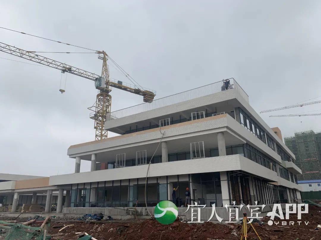 新奥门开奖走势图片汇总大全及最新预测分析新澳门开奖结果2020+开奖记录_